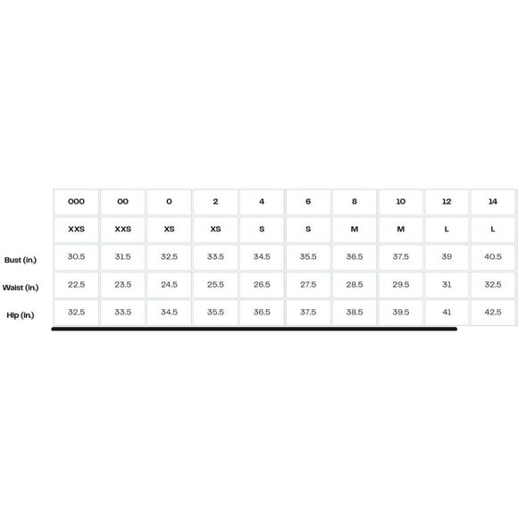 NWT Grey Collective V-Neck Long Sleeve Smocked Mini Dress Size Large - Picture 4 of 4